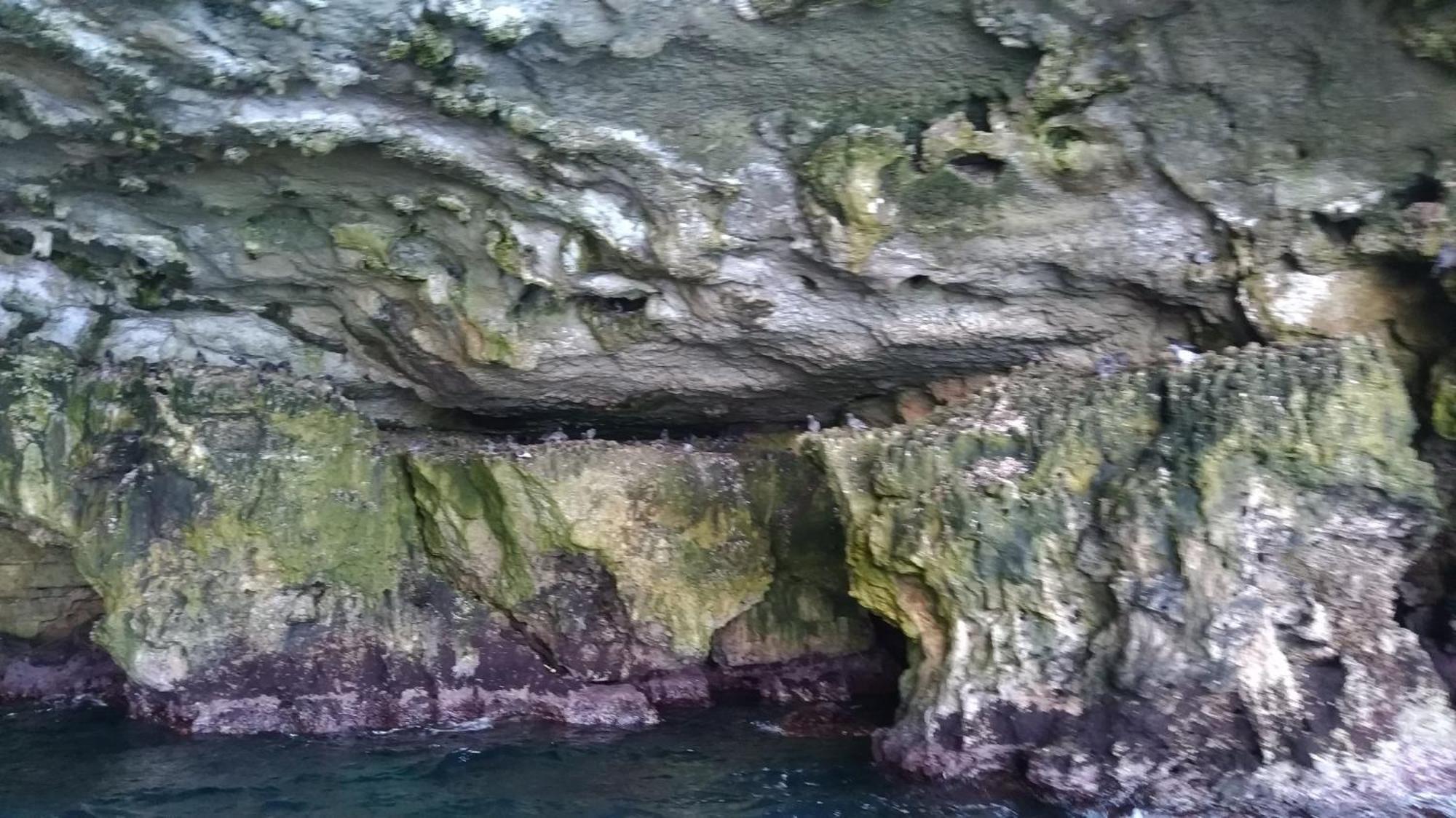 Bed and Breakfast Le Ninfe Del Mare Polignano a Mare Exterior foto